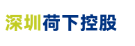 荷下控股